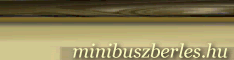 Minibuszbérlés
