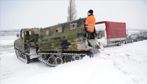 lanctalpas-mento-fejer-megyeben-130315