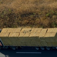 7410 M-7-en szalmabalakal