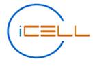 i-Cell: Szakmai támogatási program a magyar tudás itthon tartásáért