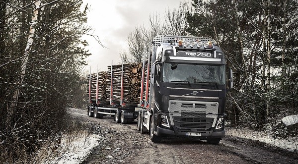 Volvo FH with heavy duty bumper_timber