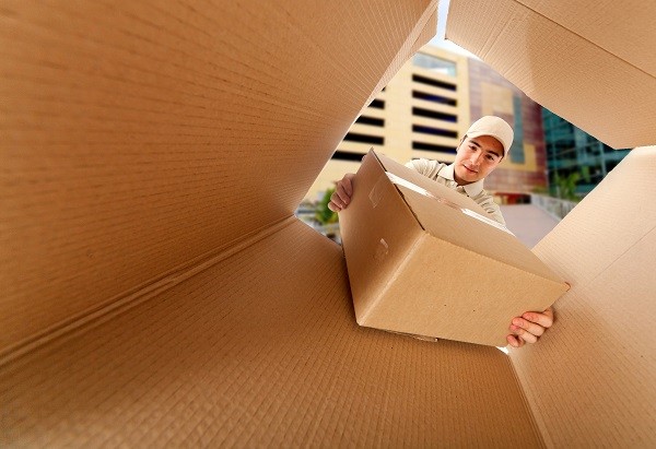 Mailman delivering a package
