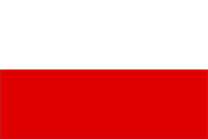 A lengyelek lettek Európa legnagyobb kamionos nemzete