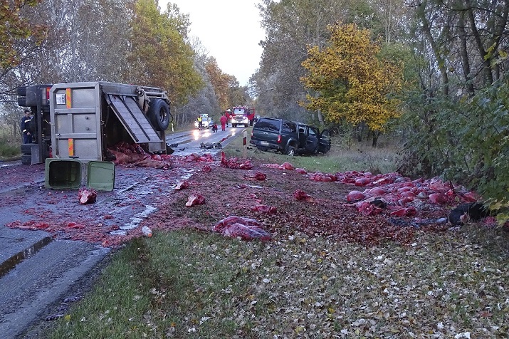 Felborult, állati belsőséget szállító kamion az 52-es főút 9-es kilométerszelvényénél, Kecskemét térségében, ahol a teherautó összeütközött egy terepjáróval 2016. október 25-én. A balesetben a terepjáróban utazók közül egy ember beszorult a járműbe. MTI Fotó: Donka Ferenc