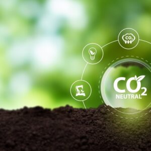 A cargo-partner 811 tonna CO₂-kibocsátást takarít meg fenntartható tengeri üzemanyag (SMF) használatával