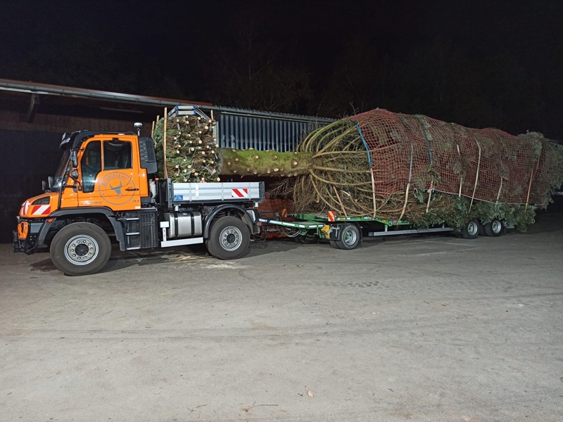 Festlicher Transport: Unimog bringt Weihnachtsbaum von Paderborn nach BerlinUnimog carries Christmas Tree from Paderborn to Berlin