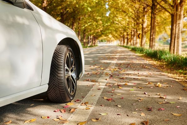 Hankook_oszi_kep_2_2025