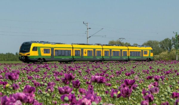 waberers_cikk_vagomaszkok_rajztabla_1