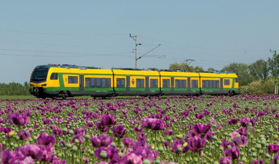 waberers_cikk_vagomaszkok_rajztabla_1