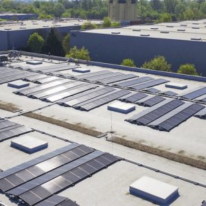 Karbonlábnyom-csökkentés közösen: összefogás a fenntarthatóságért a Prologis magyarországi logisztikai parkjában